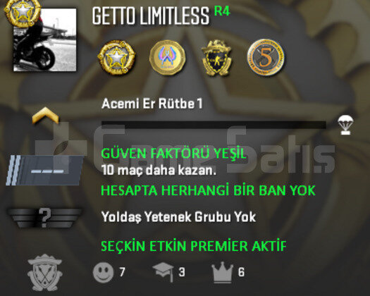 CS2 Prime | 4 Madalya | Yeşil Faktör + Garanti