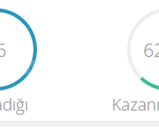 TR ZÜMRÜT 4 +60 WR TEMİZ HESAP