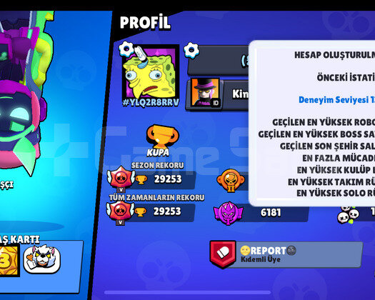 29k kupalı 84skinli güzel hesap
