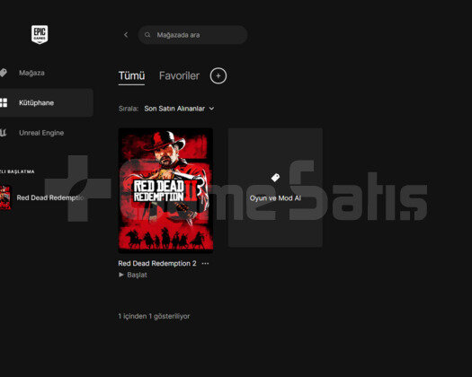 uyguna red dead redemption 2 hesabı