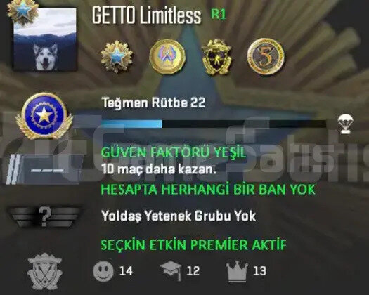 CS2 Prime | 5 Madalya | Yeşil Faktör + Garanti