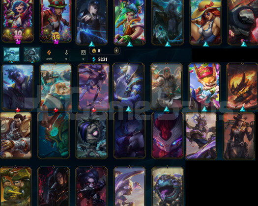 UNRANKED |  69ŞAMP 26SKİN