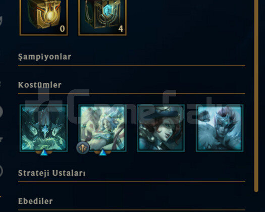 ELLE KASILMIŞ / 43 BİN MAVİ ÖZ / WEST