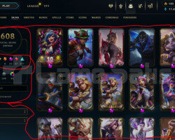 124 LEVEL / 608 SKIN / FULL HERO / +MAIL