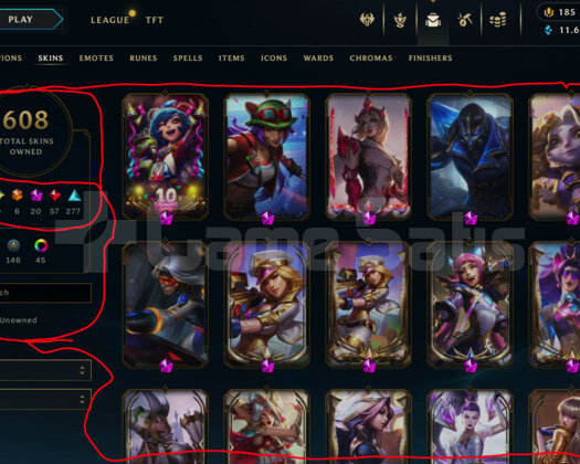 124 LEVEL / 608 SKIN / FULL HERO / +MAIL