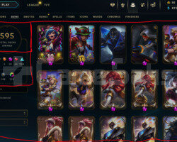 427 LEVEL / 595 SKIN / 169 HERO / +MAIL