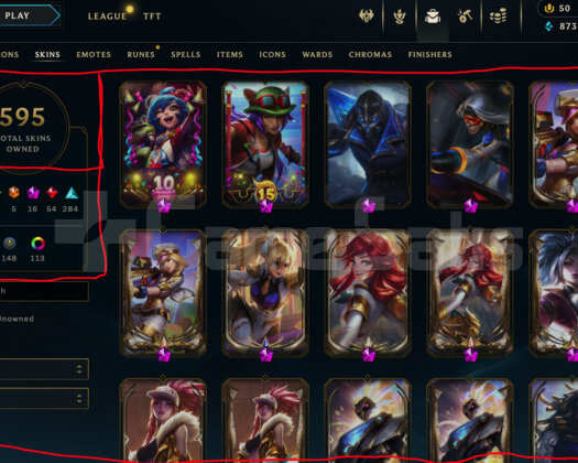 427 LEVEL / 595 SKIN / 169 HERO / +MAIL