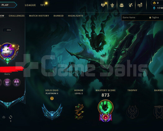 355 LEVEL / 395 SKIN / FULL HERO / +MAIL