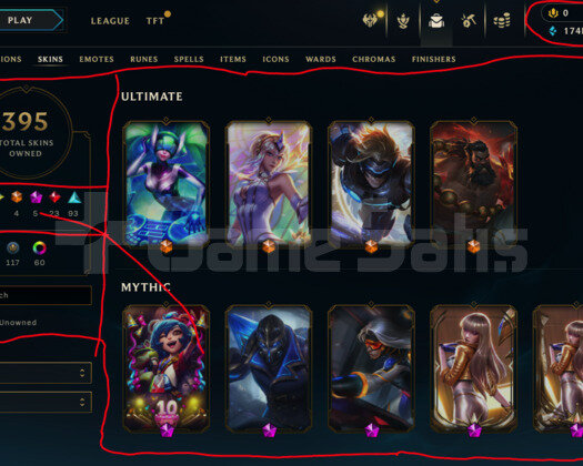 355 LEVEL / 395 SKIN / FULL HERO / +MAIL