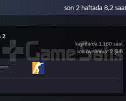 6 yıllık 1160 saat prime cs2 hesap