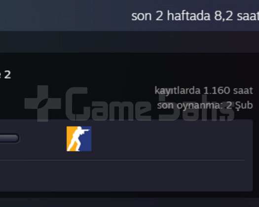 6 yıllık 1160 saat prime cs2 hesap