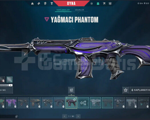 YAĞMACI PHANTOM VE İYON PHANTOMLU 1150 VP HESAP