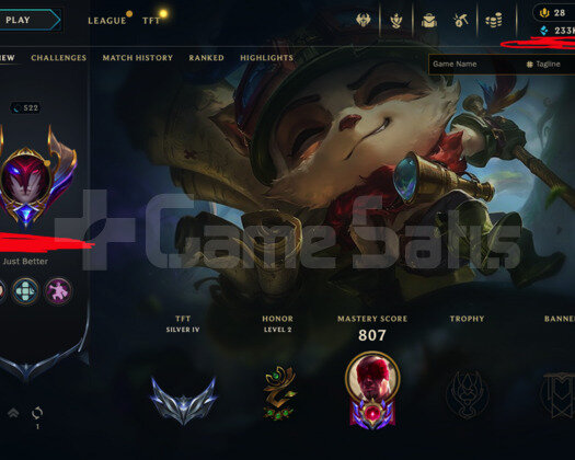 522 LEVEL / 298 SKIN / FULL HERO / +MAIL