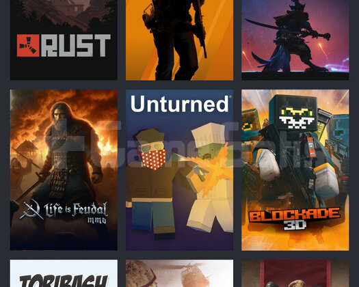 Rust+ 30 oyun kişisel mail telefon degişir
