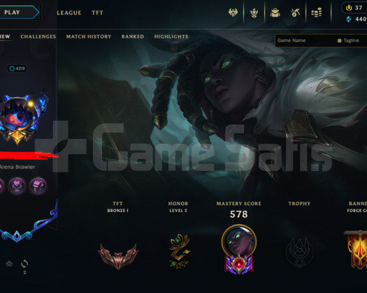 409 LEVEL / 318 SKIN / FULL HERO / +MAIL+TEL