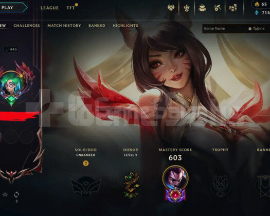 445 LEVEL / 300 SKIN / 165 HERO / +MAIL / +TELEFON