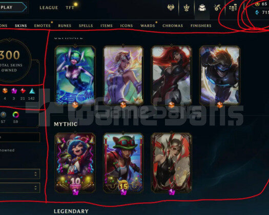 445 LEVEL / 300 SKIN / 165 HERO / +MAIL / +TELEFON