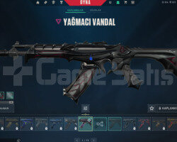 TR+YAĞMACI VANDAL + FİBER GHOST + MAİL+TEL + 82LVL