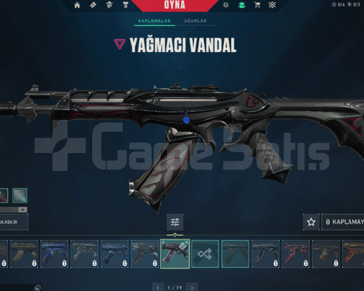 TR+YAĞMACI VANDAL + FİBER GHOST + MAİL+TEL + 82LVL