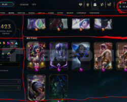 484 LEVEL / 423 SKIN / FULL HERO / +MAIL