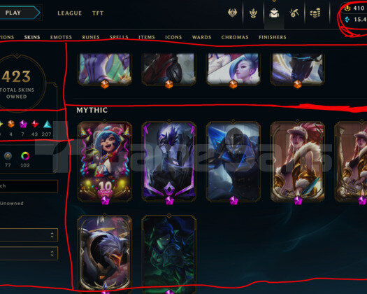 484 LEVEL / 423 SKIN / FULL HERO / +MAIL
