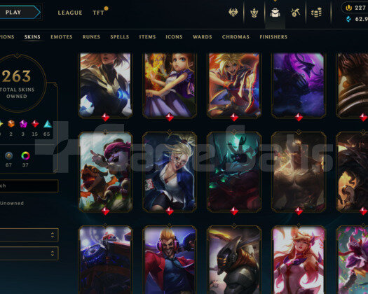 273 LEVEL / 263 SKIN / FULL HERO / +MAIL /+TELEFON