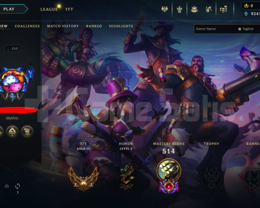 355 LEVEL / 270 SKIN / 163 HERO / +MAIL / +TELEFON