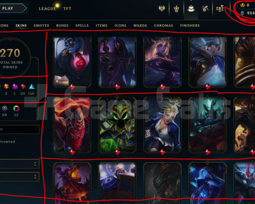 355 LEVEL / 270 SKIN / 163 HERO / +MAIL / +TELEFON