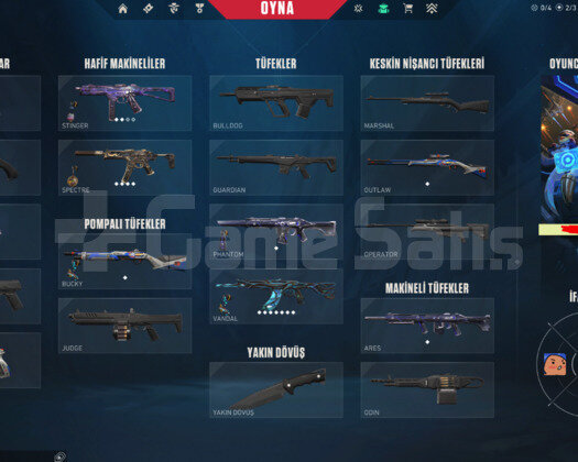 TR + GAIA VANDAL + GÜN SPECTRE + MAİL + 26 LVL+ BP