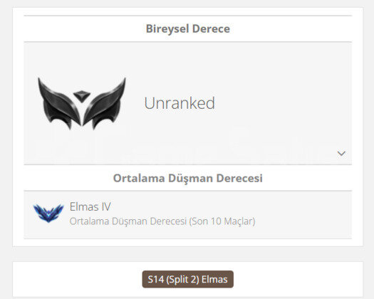 GEÇEN SEZON ELMAS / DERECELİ HAZIR / TR