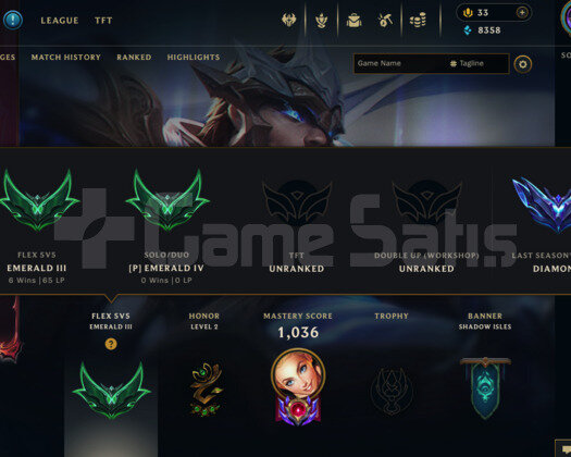 1237 LEVEL / 587 SKIN / FULL HERO / +MAIL