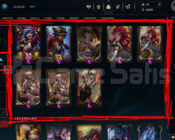 1237 LEVEL / 587 SKIN / FULL HERO / +MAIL