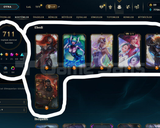 499 LEVEL / 711 SKİN / FUL HERO +MAİL +TELEFON