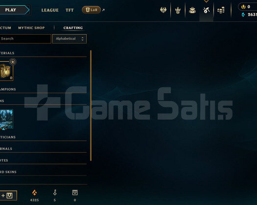 EUW PLAT 2  31 KOSTÜM HESAP
