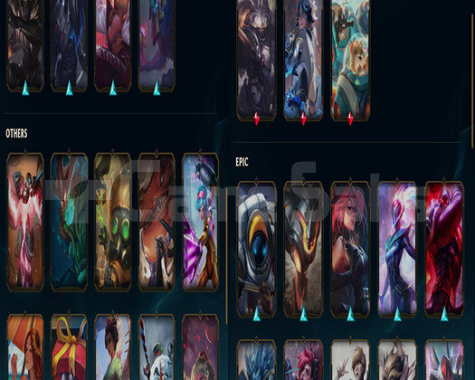 EUW PLAT 2  31 KOSTÜM HESAP