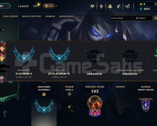 EUW PLAT 2  31 KOSTÜM HESAP