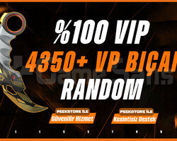 VALORANT 4350 VP BIÇAK GARANTİLİ RANDOM