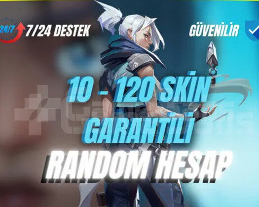 10-120 SKİNLİ RANDOM HESAP
