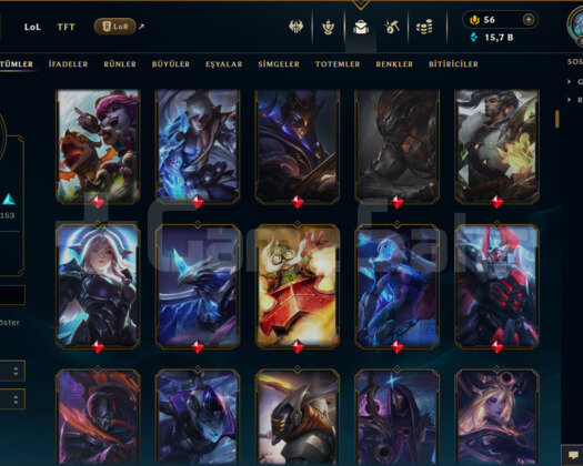 EUW / 561 LEVEL / 325 SKİN / 166 HERO +MAİL