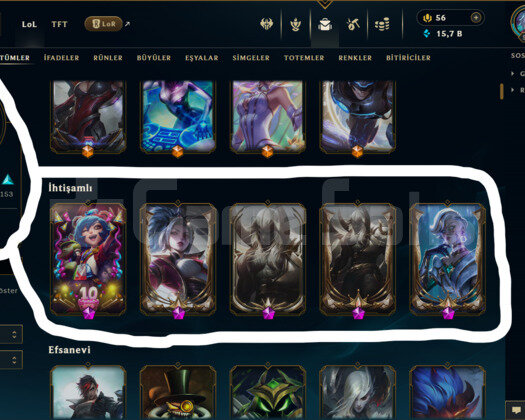 EUW / 561 LEVEL / 325 SKİN / 166 HERO +MAİL