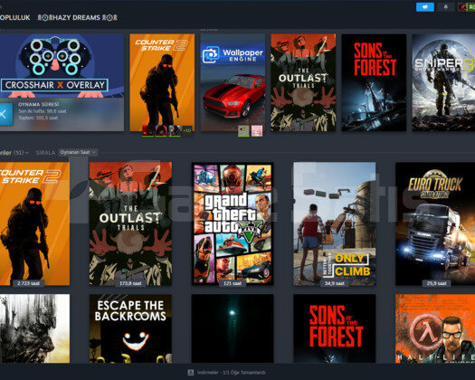 155 SAATLİK 30 LEVEL STEAM SEVİYELİ BOL OYUNLU