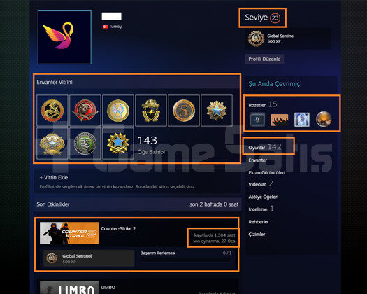 50K OYUN + 11 MADALYA 592 WİN 1304 SAAT SEÇKİN