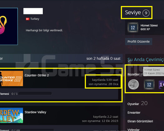 8K OYUN + 6 MADALYA 210 WİN 539 SAAT SEÇKİN