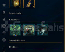 ELLE KASILMIŞ /48 BİN MAVİ ÖZ / WEST