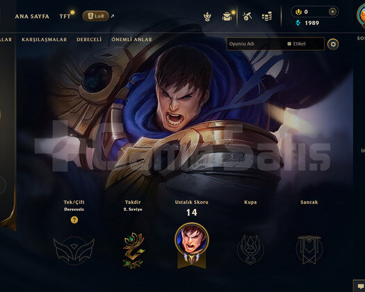 TR Unranked | 2 Kostüm - 48 Hero | LoL Hesap