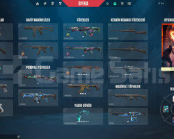 ARCANELİ VCT 2025Lİ MAİNLİK ACC!
