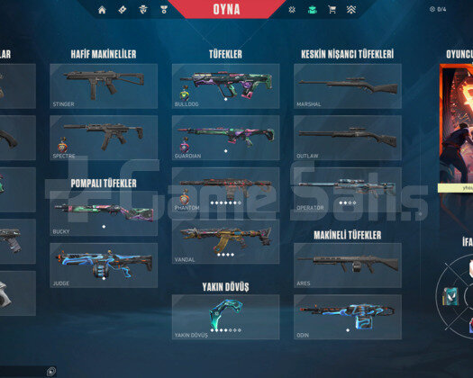 ARCANELİ VCT 2025Lİ MAİNLİK ACC!