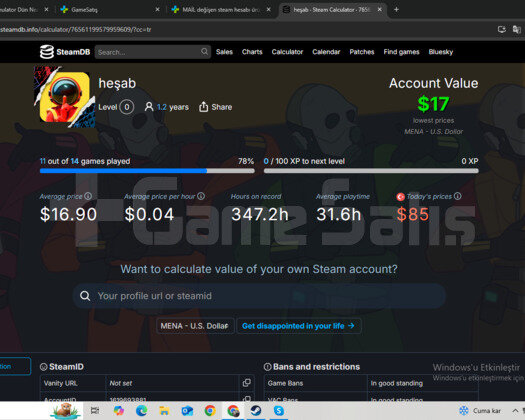 MAİL değişen steam hesabı