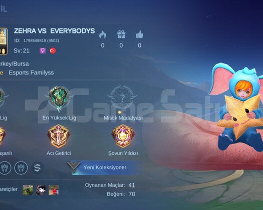 Mlbb 25 Karakterli Temiz Oranlı Smurf Hesap