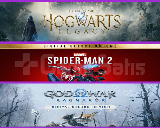 Hogwarts Legacy + Spiderman 2 + Ragnarök